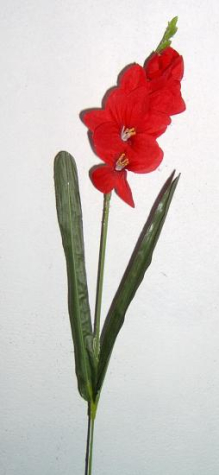 Freesie rot <br> Länge 50 cm <br> 1 Blütenzweig, 2 Blätter